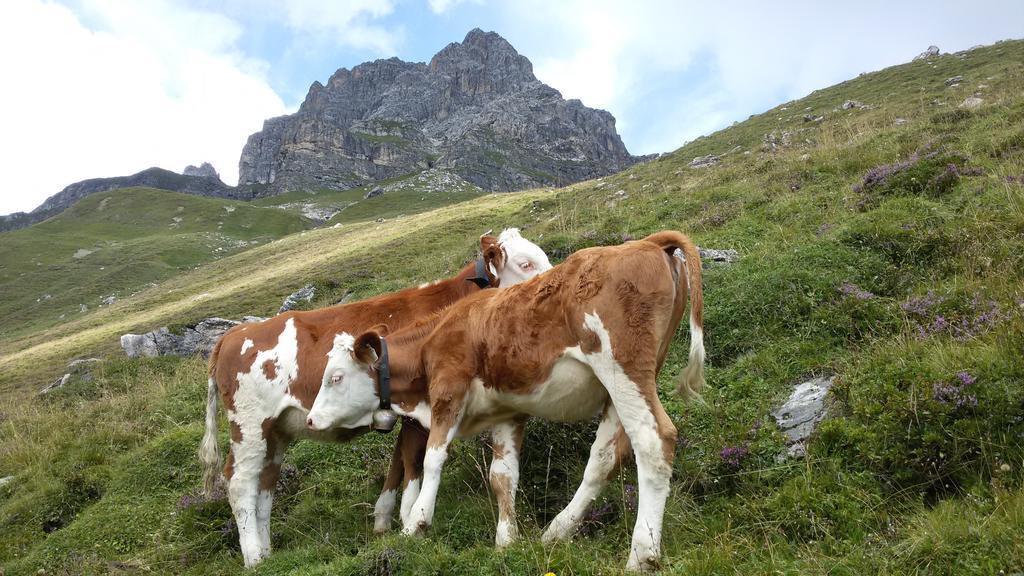 Haus Traudl Lejlighed Mayrhofen Eksteriør billede